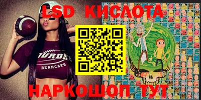 соль ск Новодвинск