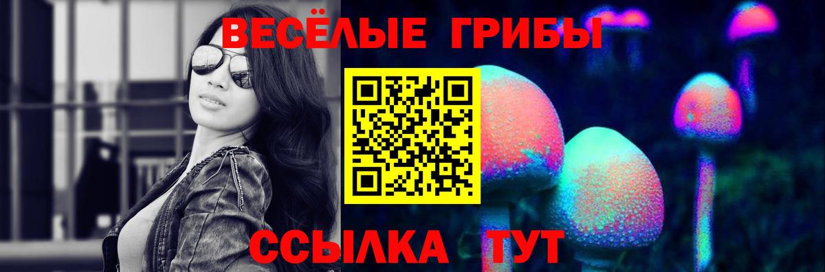 Псилоцибиновые грибы Cubensis  Вход с VPN  Чусовой 